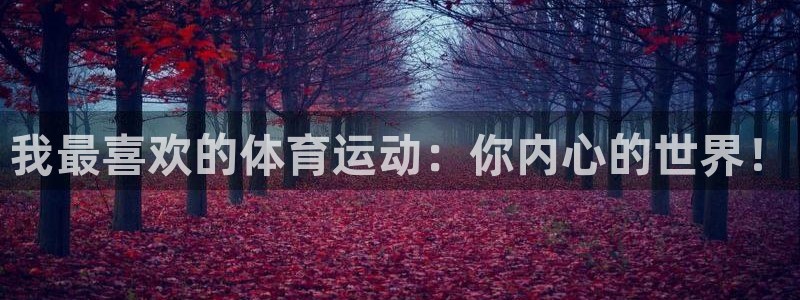 u球体育UFC：我最喜欢的体育运动：你内心的世界！