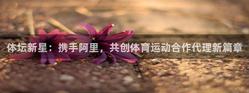 u球体育app官方下载：体坛新星：携手阿里，共创体育运动合作代理新篇章