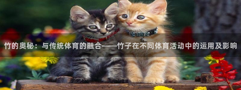 u球体育直播：竹的奥秘：与传统体育的融合——竹子在不同体育活动中的运用及影响