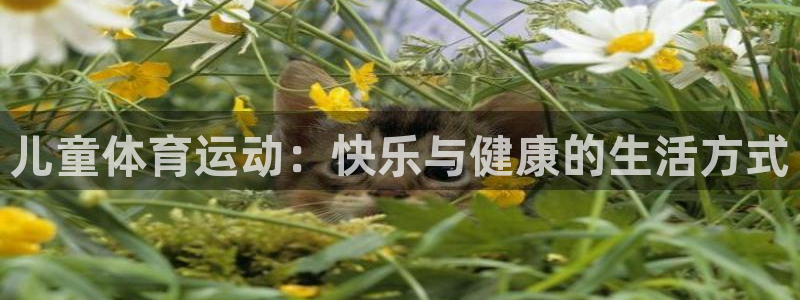 u球体育app官方下载：儿童体育运动：快乐与健康的生活方式
