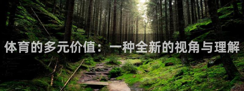 u球体育UFC：体育的多元价值：一种全新的视角与理解