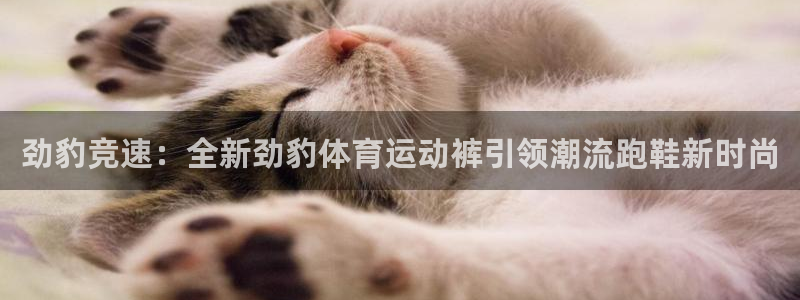 u球体育官网：劲豹竞速：全新劲豹体育运动裤引领潮流跑鞋新时尚