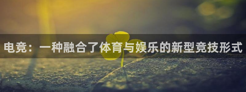 u球体育app：电竞：一种融合了体育与娱乐的新型竞技形式